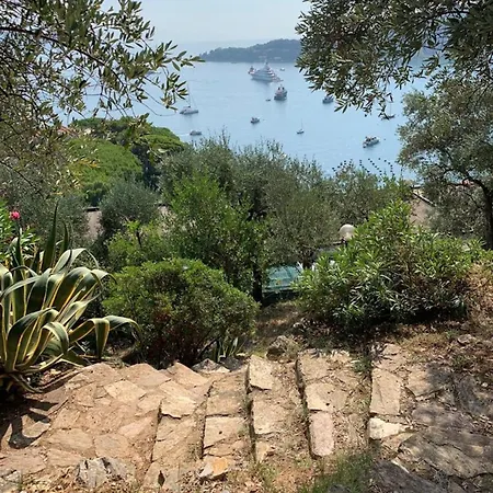 The View